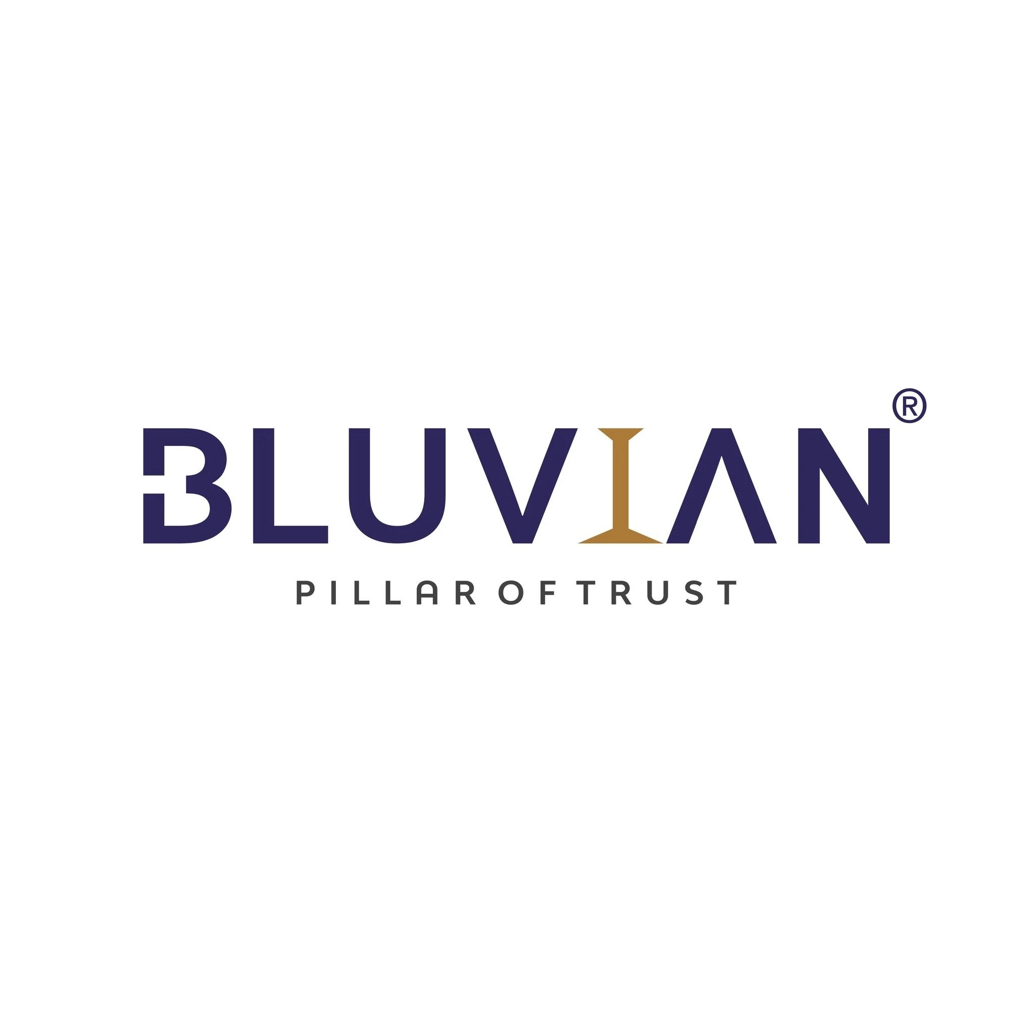 Bluvian Group Logo