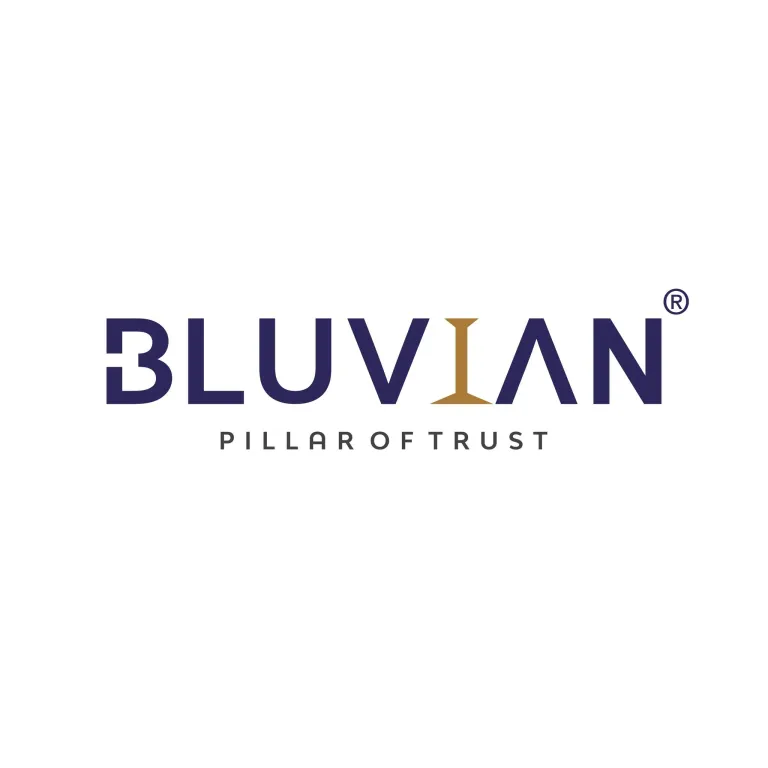 Bluvian Group Logo