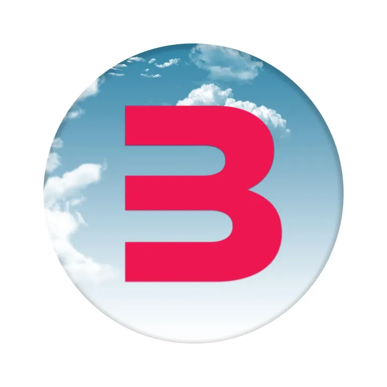 Beverlynn Group Logo