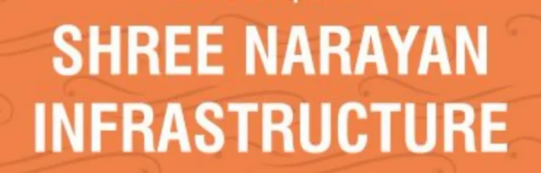 Shree Narayan Infrastructure Logo