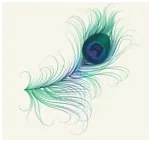 Nand Developers Logo