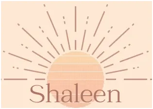Shaleen Construction Logo