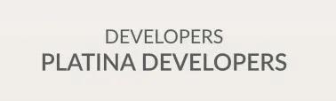 Platina Developers Logo