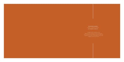 Shagun Saral 207 Brochure Image 2