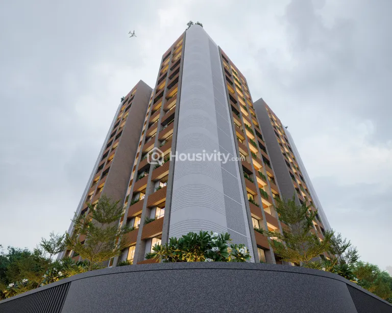 TURQUOISE AGASIYA Image 3