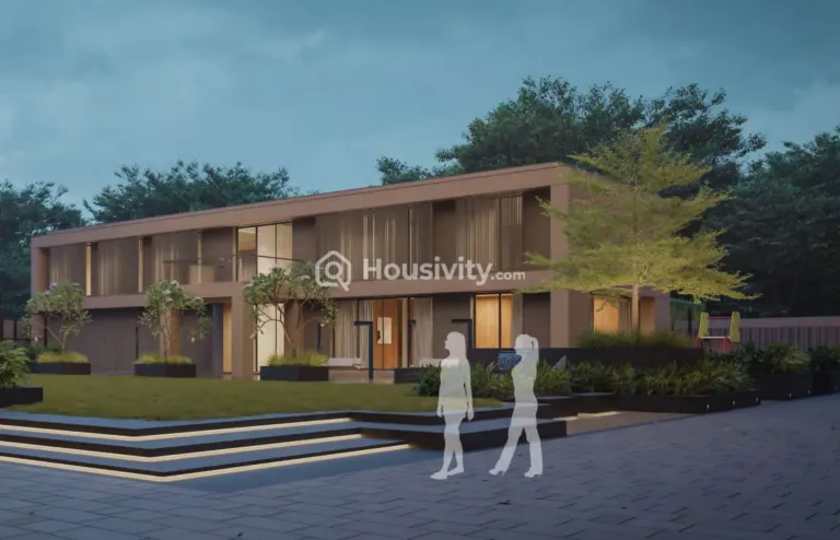 Orchid Regal Image 8