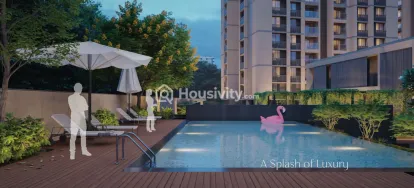 Orchid Regal Image 7