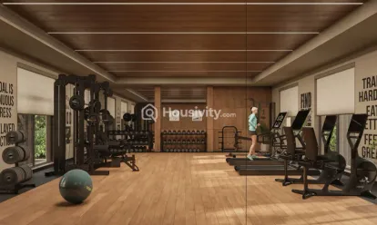 Orchid Regal Image 3