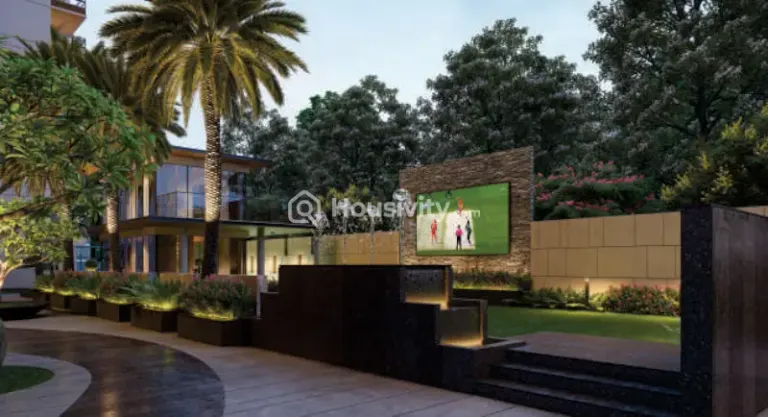 Elenza Arista Image 3