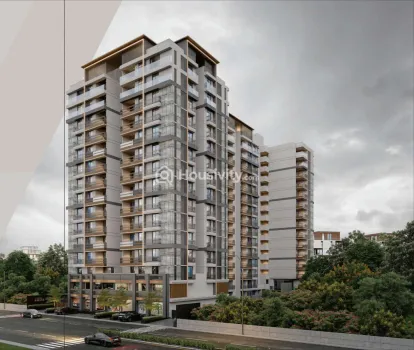 Elenza Arista Image 7