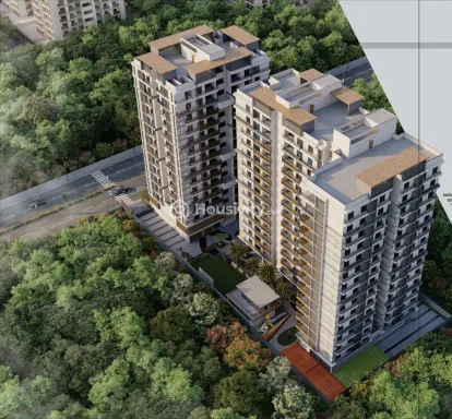 Elenza Arista Image 5