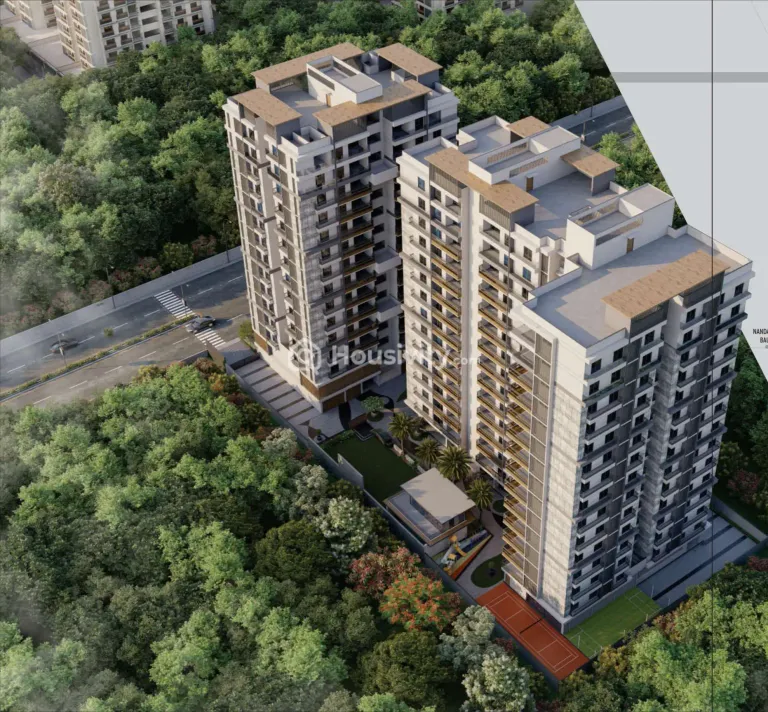 Elenza Arista Image 5