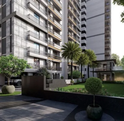 Elenza Arista Image 6