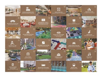 Festival O2 Brochure Image 11