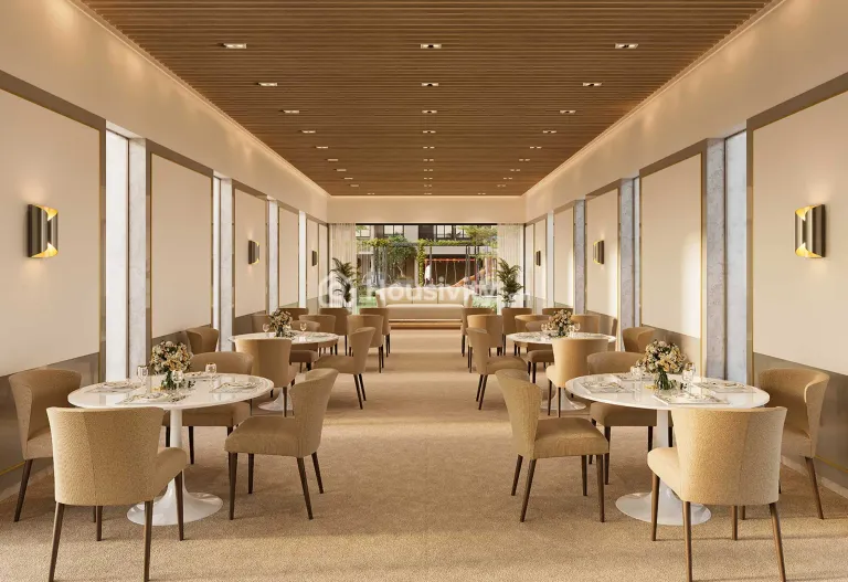 Shafalya Renown Image 4