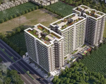 Rishv Octavia Image 2