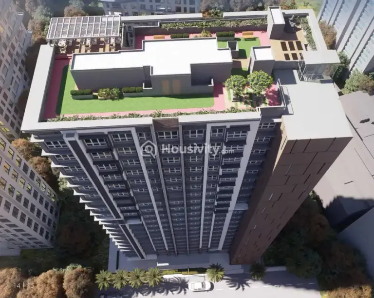 Lotus Peridot Signature Image 3