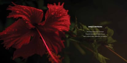 Praangan Brochure Image 5