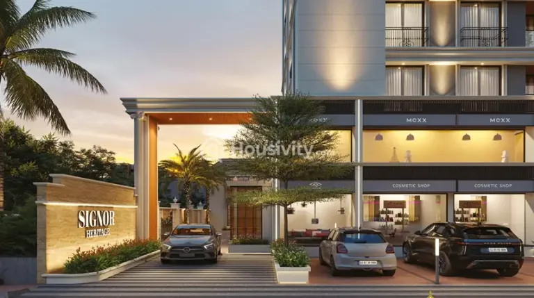 Signor Heritage Image 4