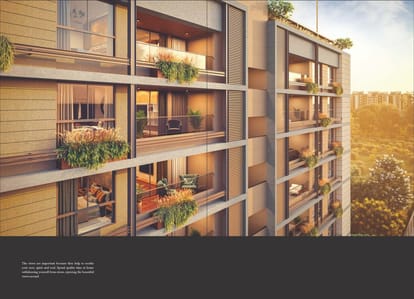Essence 51 Brochure Image 2