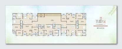 Tulip 34 Brochure Image 8