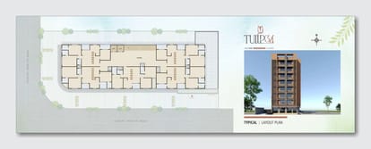 Tulip 34 Brochure Image 6
