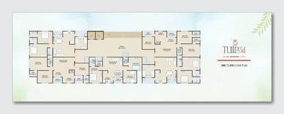 Tulip 34 Brochure Image 7