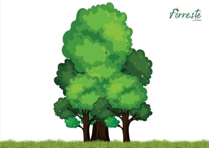 Arvind Forreste Brochure Image 1