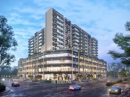 The Riseonic Image 1