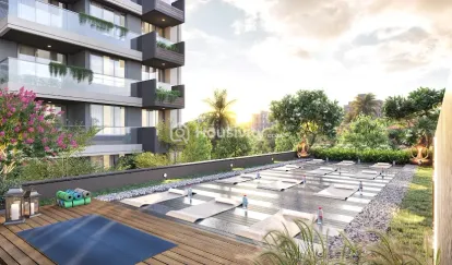 The Riseonic Image 3