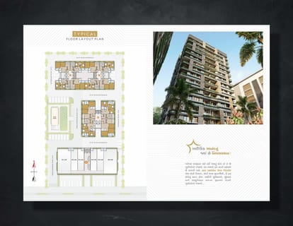 Star Icon And Paradise Brochure Image 8