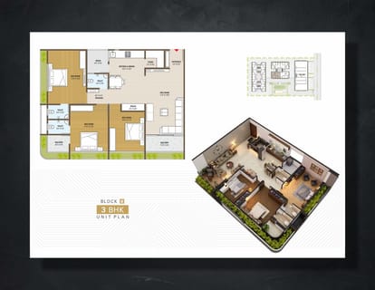 Star Icon And Paradise Brochure Image 12