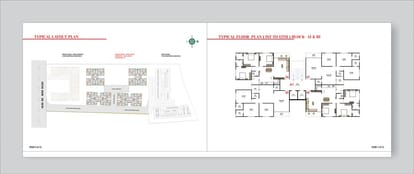 Royal Revish Brochure Image 4