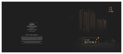 The Shine Brochure Image 2