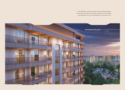 Whiteflag Brochure Image 10