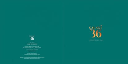 Galaxy 36 Brochure Image 1