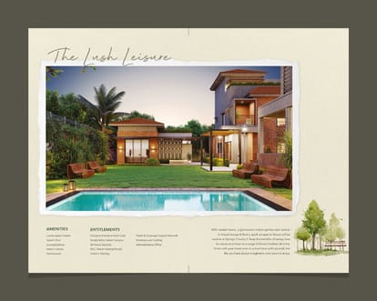 Springs County 3 Brochure Image 10