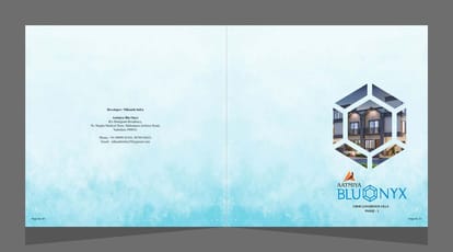 BluOnyx Phase 3 Brochure Image 1