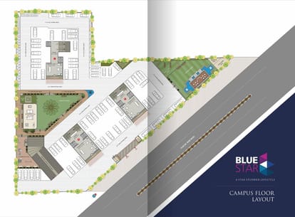 Blue Star Brochure Image 4