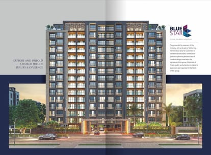 Blue Star Brochure Image 2
