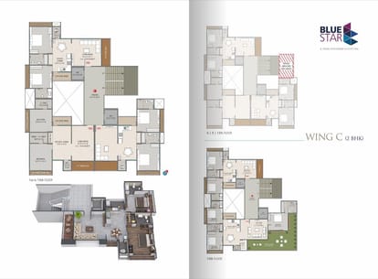Blue Star Brochure Image 8