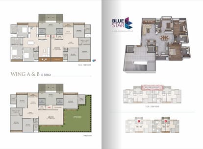 Blue Star Brochure Image 7