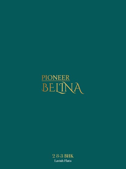 Pioneer Belina Brochure Image 1