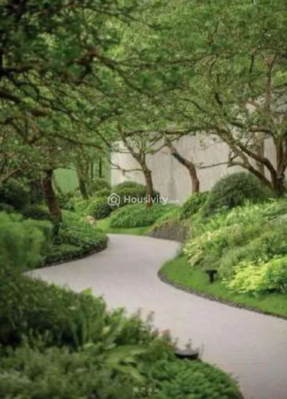 Ashar Merac Image 13