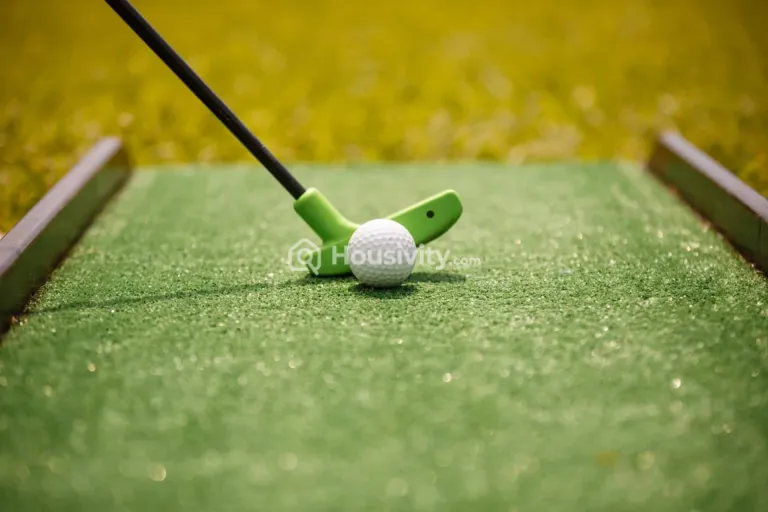 Ashar Arize Image 11