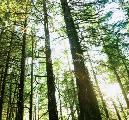 Lodha Amara Image 27