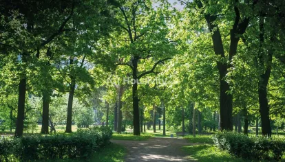 Lodha Codename Central Image 13