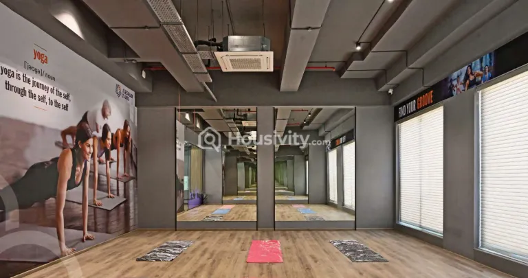 Dosti Willow Image 7