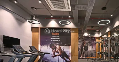 Dosti Willow Image 6