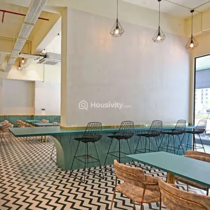 Dosti Willow Image 21